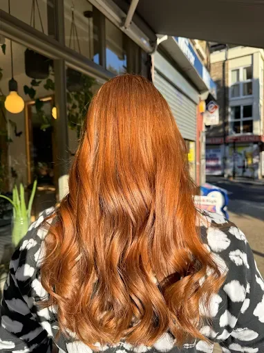 Tint / Regrowth at Venera Hair, Hampstead, London